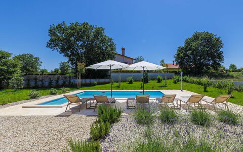Juventa: Blu, Piscina, Mobili Da Esterno, Ricorrere, Giardino, Shade, Sedia, Landscaping, Estate, Lettino