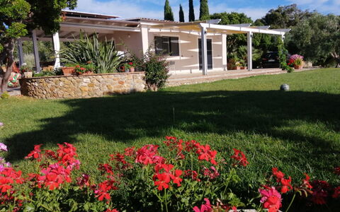 Il Tramonto: Arbusto, Giardino, Shade, Estate, Prato, Hacienda, Cortile, Backyard, Landscaping