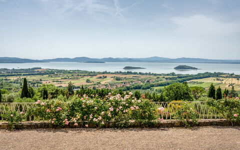 Villa Domus Papi: Paesaggio, Arbusto, Piantagione