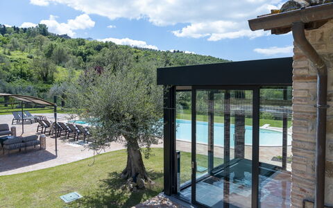 Villa Trasimena: Piscina, Shade, Eco Hotel, Ricorrere, Landscaping, Estate, Mobili Da Esterno, Giardino, Struttura Esterna, Backyard