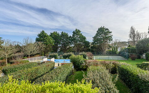 Quiberon 250: Verde, Natura, Vegetazione, Arbusto, Giardino, Paesaggio, Comunita 'Impianto, Hedge, Groundcover, Primavera