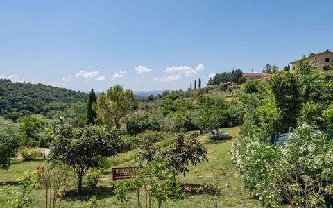 Podere Oliveta: Vegetazione, Arbusto, Comunita 'Impianto, Area Rurale, Hill Station, Piantagione, Giardino, Shrubland, Giardino Botanico, Chaparral