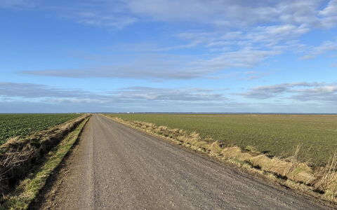 Tuki - 10Km from the Sea: Estate, Azienda Agricola