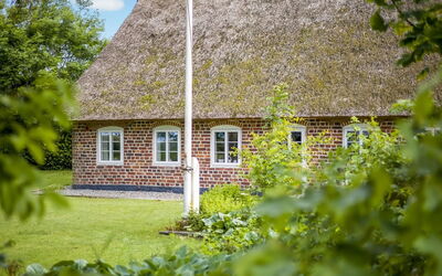 Tuki - 10Km from the Sea