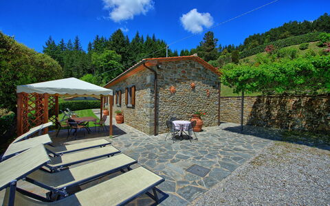 Villa Portole Due: Villetta, Eco Hotel, Giardino, Ricorrere, Estate, Flagstone, Landscaping, Agriturismo, Cortile, Backyard