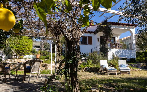 La Unica: Arbusto, Giardino, Shade, Primavera, Backyard, Cortile, Landscaping, Villetta, Hacienda