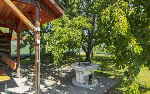 Gyula: Giardino, Shade, Woody Impianto, Parco, Cortile, Prato, Landscaping, Struttura Esterna, Edifici Giardino, Backyard
