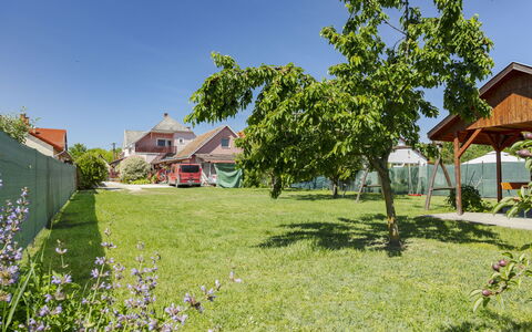 Gyula: Estate, Giardino, Prato, Primavera, Shade, Cortile, Backyard, Parco, Landscaping, Agriturismo