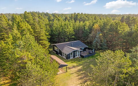 Hansa - 3Km from the Sea: Paesaggio, Lotto, Piantagione, Pine Famiglia, Sempreverde