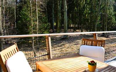 Alloggio:&nbsp;Treehouse 1 3.1