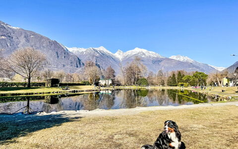 Lucia: Piscina, Ricorrere, Appartamento, Hotel, Dimora, Villa, Shade, Hacienda, Resort Citta '