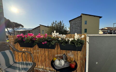 Sto Bene Qua: Vaso Di Fiori, Balcone, Pianta Della Casa, Fiorai, Disegno Floreale, Cortile