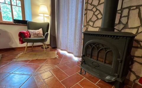 Vidochov: Pavimentazione, Pavimento, Focolare, Color Legno, Piastrella, Brick, Pavimento In Legno, Materiali Naturali, Soggiorno, Stufa A Legna