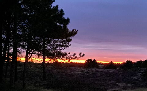 Ibbe - 3.5Km from the Sea: Cielo, Ramo, Natura, Foglia, Afterglow, Paesaggio Naturale, Crepuscolo, Tramonto, Orizzonte, Arancia