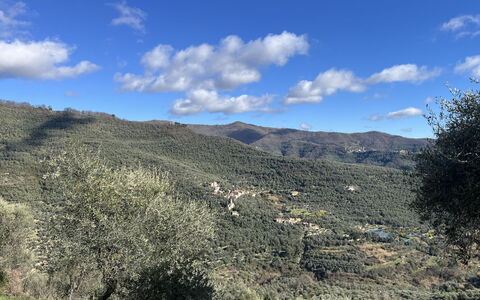 Paola: Geografia Montane, Montagna, Vegetazione, Collina, Highland, Ecoregione, Comunita 'Impianto, Paesaggio, Natura Selvaggia, Terreno