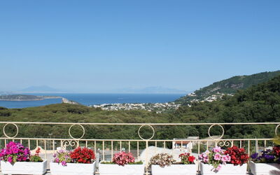 Ischia 647