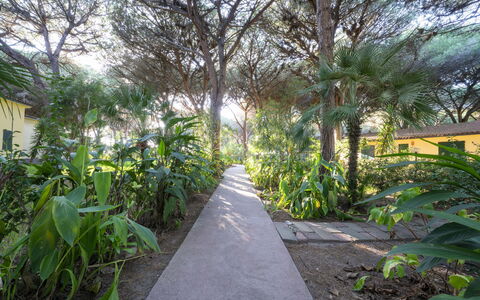 Nature & Country Resort Near The sea: Vegetazione, Giardino, Woody Impianto, Shade, Trail, Landscaping, Passerella, Giardino Botanico, Driveway, Piantagione
