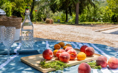Casa Iume: Frutta, Produrre, Cibo, Tavola, Natural Foods, Mela, Tovaglia, Pesca, Picnic