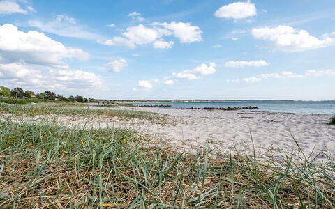 Stavros - 100M from the Sea: Zona Residenziale, Arbusto, Casa, Casa, Giardino, Estate, Shade, Landscaping, Prato