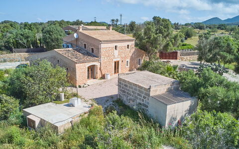 Ca'N Galeri: Costruzione, Albero, Casa, Casa, Paesaggio, Architettura, Zona Residenziale, Area Rurale, Estate