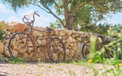 Ca'N Galeri: Ruota, Bicicletta, Bicycle Wheel, Bicicletta Forcella