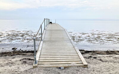 Bjart - 150M from the Sea