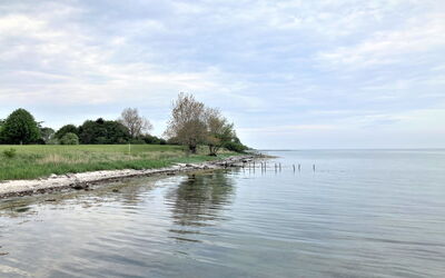 Bjart - 150M from the Sea