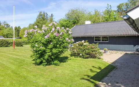 Rosalie - 29Km from the Sea: Estate, Shade, Driveway, Agriturismo