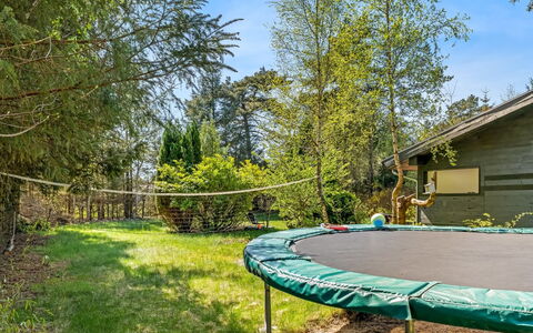 Riitta - from the Sea: Mobilia, Mobili Da Esterno, Sedia, Giardino, Shade, Latifoglie, Tavolo Esterno, Landscaping, Terrazza, Prato
