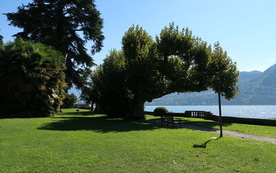 Tremezzina 609: Erba, Paesaggio Naturale, Paesaggio, Prato, Panchina, Tronco, Giardino, Lago, Parco