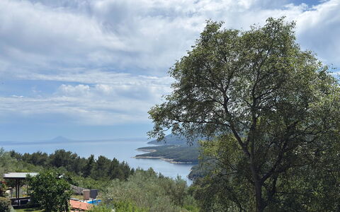 Nira: Blu, Foglia, Vegetazione, Comunita 'Impianto, Costiera E Morfologie Oceanic, Mare, Riserva Naturale, Hill Station, Giungla, Oceano