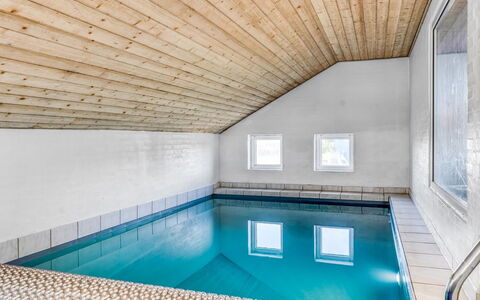 Nikolce - 300M to the Fjord: Soffitto, Pavimentazione, Pavimento, Materiale Composito, Piscina, Illuminazione Diurna, Attico, Latifoglie, Fascio, Design