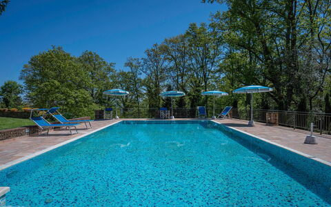 Grace Home, Pool, Wifi, Gambassi Terme: Blu, Piscina, Ricorrere, Mobili Da Esterno, Eco Hotel, Shade, Resort Citta ', Giochi D'Acqua, Landscaping, Villa