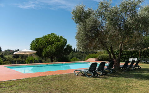 Country House In Tuscan Hills: Piscina, Ricorrere, Hacienda, Giardino, Estate, Landscaping, Eco Hotel, Shade, Mobili Da Esterno, Villa