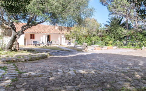 Francesca: Shade, Flagstone, Giardino, Woody Impianto, Villetta, Estate, Landscaping, Backyard, Hacienda, Cortile