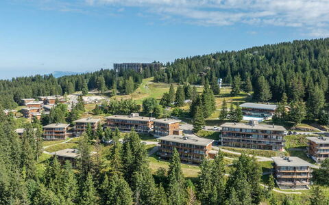 V du Bachat Melezes a: Hill Station, Larice, Foresta, Sempreverde, Boschi Di Conifere Tropicali E Subtropicali, Pine Famiglia