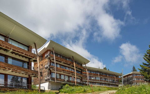 V du Bachat Asters e: Appartamento, Balcone, Sedia, Shade, Mobili Da Esterno, Illuminazione Diurna, Alluminio