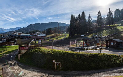 Morillon 625