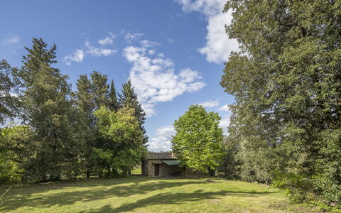 Cottage Monti Pet Friendly With Shared Pool: Albero, Erba, Foglia, Ambiente Naturale, Ramo, Natura, Vegetazione, Arbusto, Pascolo, Paesaggio