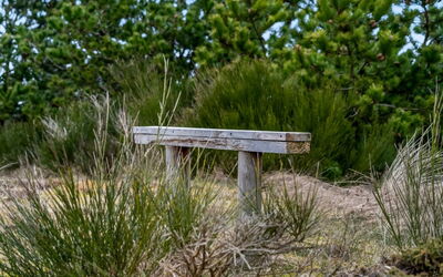 Godja - 1Km from the Sea
