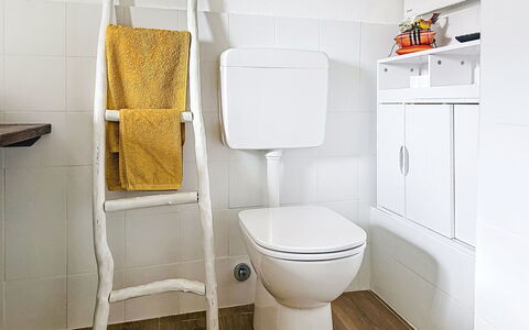 Al Civico 29: Toilet Seat, Gabinetto, Bagno, Idraulico Fixture, Pavimento, Pavimentazione, Idraulico