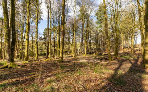 Doonans Cottage: Foglia, Ramo, Albero, Ambiente Naturale, Legna, Vegetazione, Paesaggio Naturale, Foresta, Boschetto, Ecoregione