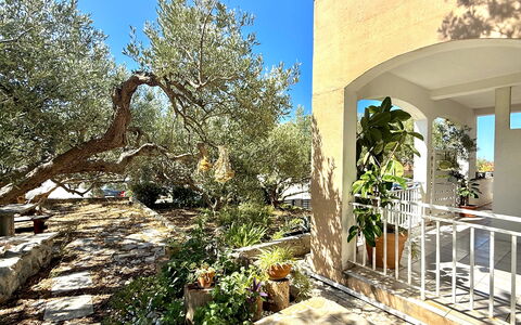Appartamento Olive Garden, Ac, Wifi, Hvar: Arbusto, Giardino, Estate, Shade, Hacienda, Landscaping, Cortile, Sedia, Backyard, Villa