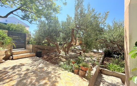 Appartamento Olive Garden, Ac, Wifi, Hvar: Arbusto, Giardino, Woody Impianto, Shade, Landscaping, Backyard, Flagstone, Suolo, Cortile, Cortile