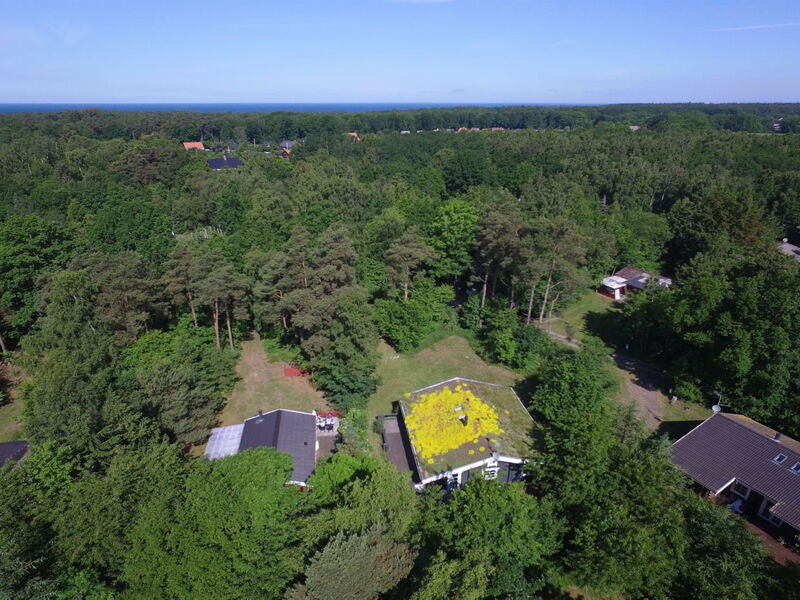Brynjolf - 1Km from the Sea