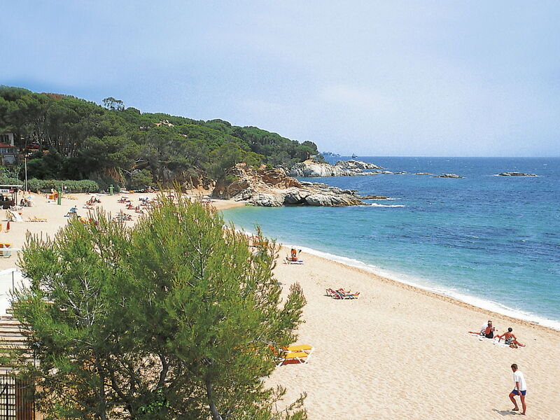 Calonge 750