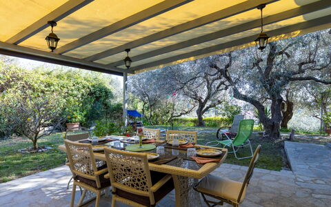 Villa degli Ulivi: Piscina, Ricorrere, Materiale Composito, Ricreazione, Tempo Libero, Shade, Vacanza, Resort Citta ', Centro Ricreativo
