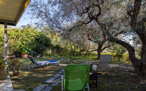 Villa degli Ulivi: Piscina, Ricorrere, Materiale Composito, Ricreazione, Tempo Libero, Shade, Vacanza, Resort Citta ', Centro Ricreativo