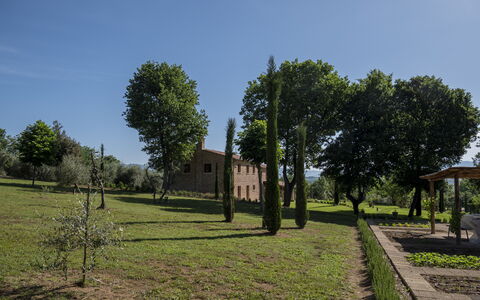 Villa Cortona: Eco-Sustainable Luxury Estate with: Erba, Albero, Pascolo, Plain, Arbusto, Lotto, Area Rurale, Tronco