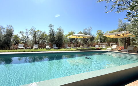 Villa del Mangia, 5Panoramic Pool and Chef Service: Piscina, Albero, Ricorrere, Mobili Da Esterno, Giardino, Shade, Eco Hotel, Landscaping, Hacienda, Estate